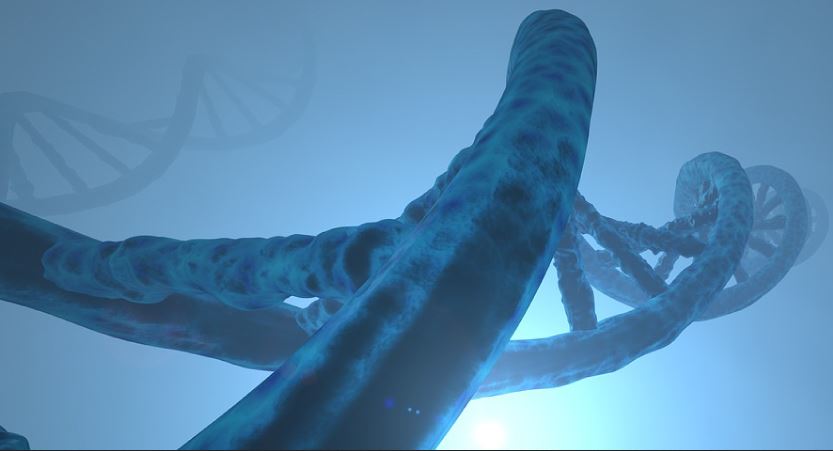 Malattia di Fabry, diagnosi preventiva e terapia specifica