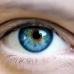 Sindrome dell'occhio secco: sintomi, cura e cosa evitare