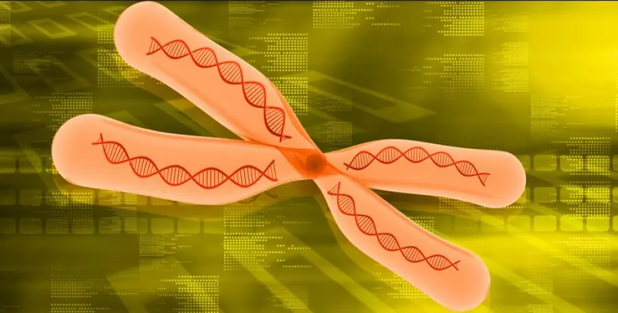 Sindrome di Noonan, cause, sintomi e cure mirate