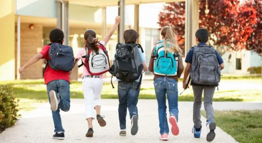 Pandas, sintomi e cause. Quadro clinico e terapia da seguire