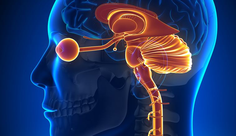 Neuromielite ottica o malattia di Devic, sintomi cause e cura