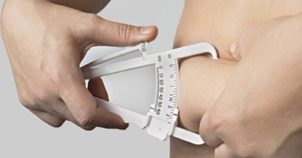 Indice di massa grassa: come si calcola, tabella di riferimento