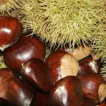 Come usare le castagne per la salute di viso, capelli e corpo
