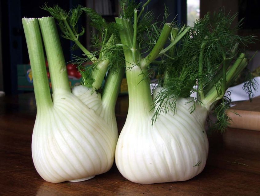 Il Finocchio e le sue proprietà, benefici e usi nelle ricette