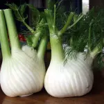 Il Finocchio e le sue proprietà, benefici e usi nelle ricette