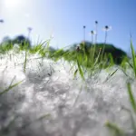 Come difendere i figli dalle allergie ai pollini